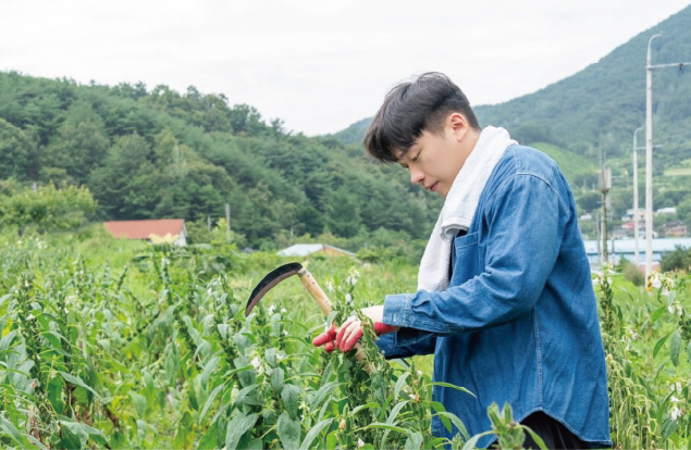 韓国内の契約農家